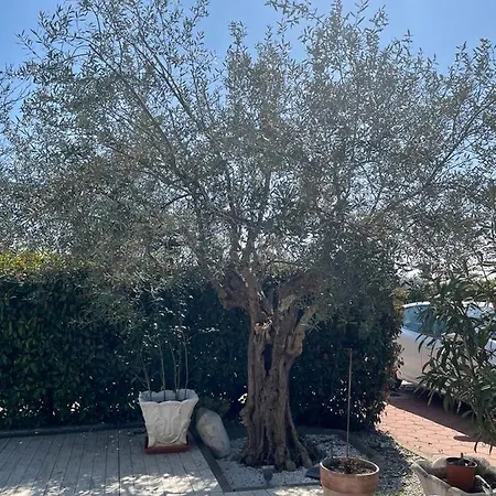 Holiday home La Bella Istriana